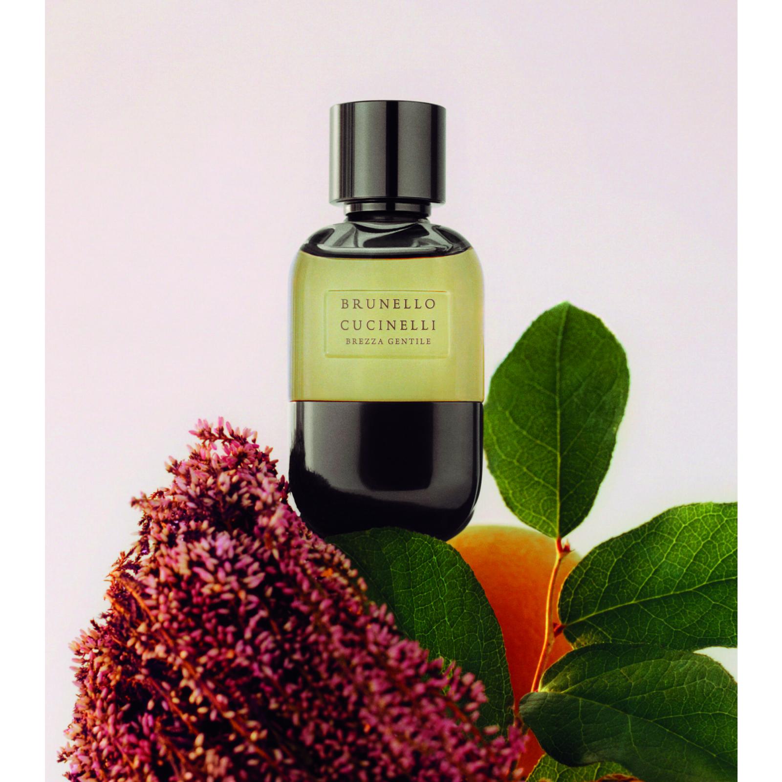 BRUNELLO CUCINELLI BREZZA GENTILE унисекс flaconium.ru BRUNELLO CUCINELLI BREZZA GENTILE унисекс flaconium.ru