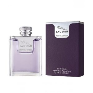 JAGUAR JAGUAR PRESTIGE SPIRIT для мужчин flaconium.ru