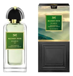 MAISON NOIR ICARUS 347 унисекс flaconium.ru