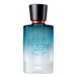 SUPERDRY REAL SUPERDRY 02 FOR MEN для мужчин flaconium.ru