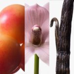 CALVIN KLEIN EUPHORIA EAU DE TOILETTE (2023) для женщин flaconium.ru