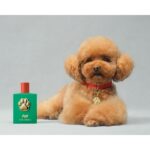 DOLCE & GABBANA FEFE унисекс flaconium.ru