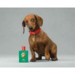 DOLCE & GABBANA FEFE унисекс flaconium.ru