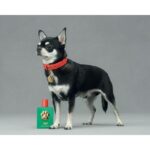 DOLCE & GABBANA FEFE унисекс flaconium.ru