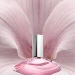 CALVIN KLEIN EUPHORIA EAU DE TOILETTE (2023) для женщин flaconium.ru