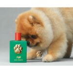 DOLCE & GABBANA FEFE унисекс flaconium.ru