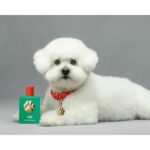 DOLCE & GABBANA FEFE унисекс flaconium.ru