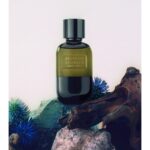 BRUNELLO CUCINELLI OMBRA LIRICA унисекс flaconium.ru