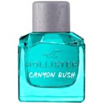 HOLLISTER CANYON RUSH FOR HIM для мужчин flaconium.ru