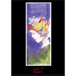 PROFUMUM ROMA DOLCI PENSIERI унисекс flaconium.ru