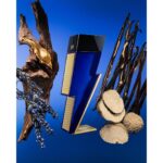CAROLINA HERRERA BAD BOY COBALT ABSOLUTE унисекс flaconium.ru